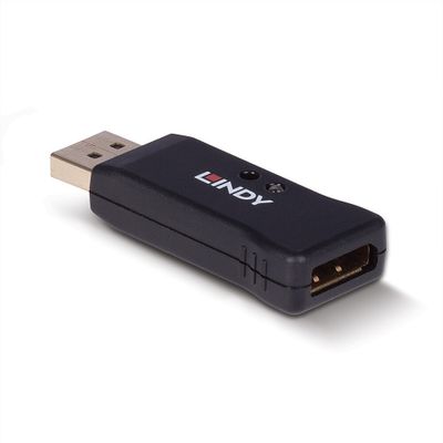 Adap Lindy DisplayPort 1.4 EDID Emulator_2