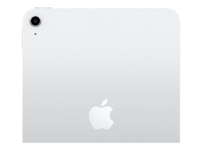 Apple iPad 10.9 - 27.7 cm (10.9") - Wi-Fi - 256 GB - Silver_5
