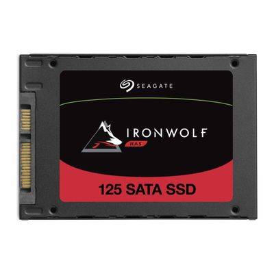 Seagate SSD IronWolf 125 - 1 TB - 2.5" - SATA 6 GB/s_2