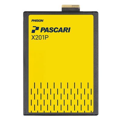 SSD Pascari X201P E3.S 15.36TB PCIe5.0_thumb