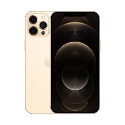 Apple iPhone 12 Pro Max - 256 GB - Gold_thumb