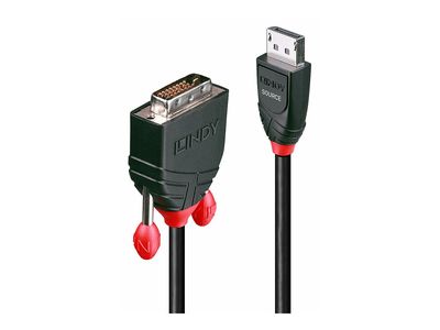 Cable Lindy DisplayPort an DVI Adap  0,5m_4
