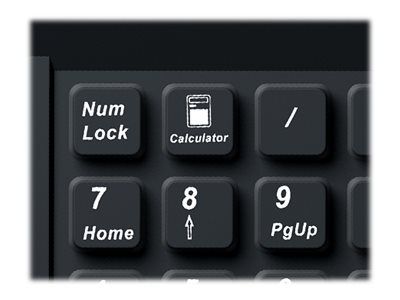 KeySonic Numeric Keypad Keyboard ACK-118BK - Black_8