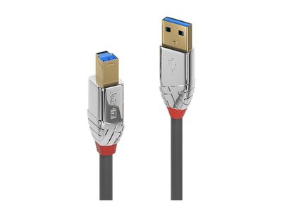 Cable Lindy USB 3.2 Typ A an B Kabel Cromo Line 2m_2