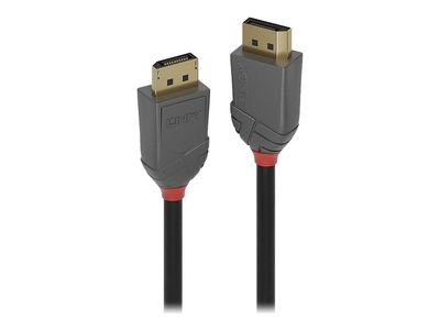 Lindy Anthra Line - DisplayPort-Kabel - DisplayPort zu DisplayPort - 3 m_thumb