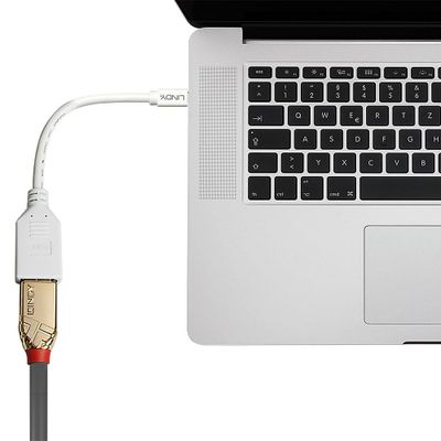 Lindy 41021 DisplayPort-Kabel 0,15 m Mini DisplayPort Weiß_3