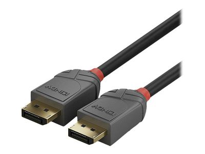 Lindy Anthra Line - DisplayPort-Kabel - DisplayPort zu DisplayPort - 2 m_2