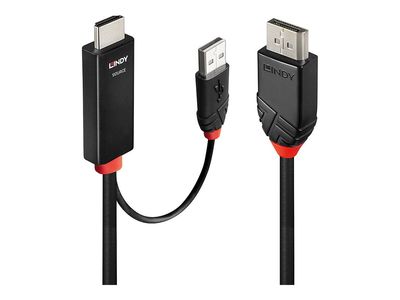 Lindy adapter cable 41500 - HDMI + USB-A / DisplayPort - 3 m_thumb