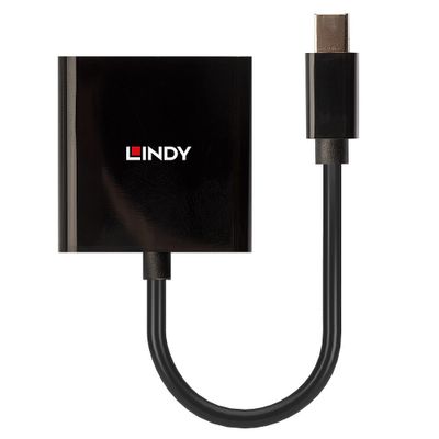 Lindy 41736 Kabeladapter Mini DisplayPort DVI-D Schwarz_2