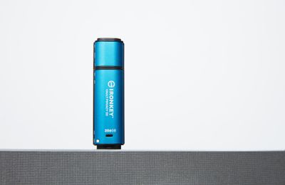 Kingston USB-Stick IronKey Vault - USB 3.2 Gen 1 (3.1 Gen 1) - 256 GB - Blau_7