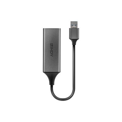 Lindy USB 3.0 Gigabit Ethernet Converter_2