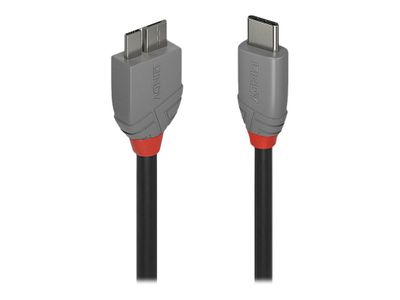 Cable Lindy USB 3.2 Anthra Line 1m_2