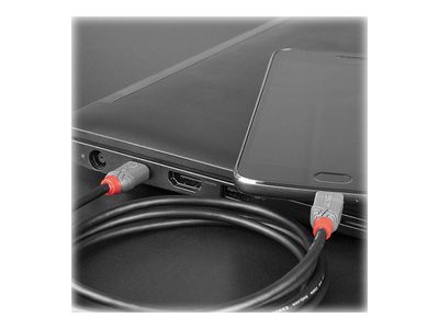 Cable Lindy USB 2.0 Anthra Line 1m_3