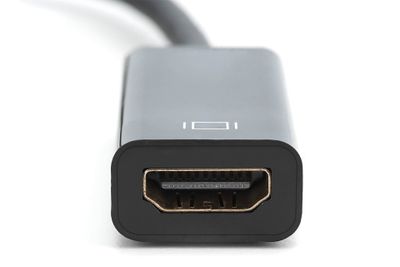 DIGITUS video adapter cable DB-340400-001-S - DisplayPort / HDMI - 15 cm_2