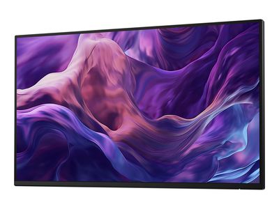 Dell LED-Display P2425H without stand - 61 cm (24") - 1920 x 1080 Full HD_2