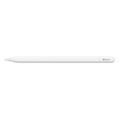 Apple Pencil USB-C Eingabestift_3