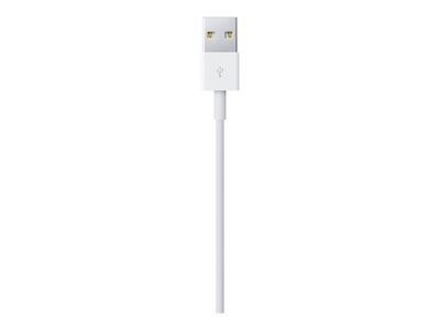 Apple Lightning-Kabel - Lightning/USB - 1 m_3