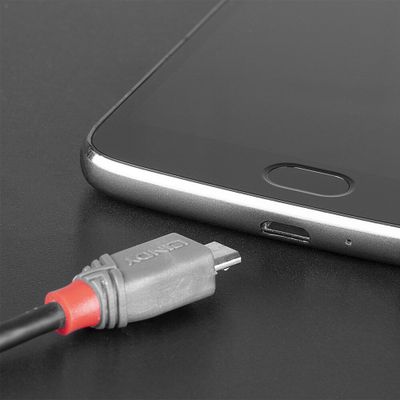 Lindy USB cable Anthra Line - USB-C / Micro-USB Type B - 1 m_4