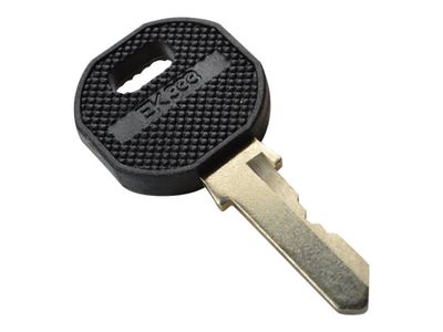 DIGITUS Professional DN-19 KEY-EK333 Schlüssel für Rack-Sicherheitsschloss_thumb