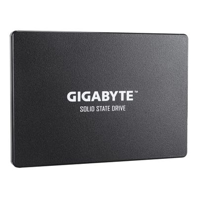 GIGABYTE SSD GP-GSTFS31256GTND - 256 GB - 2.5" - SATA 6 GB/s_thumb