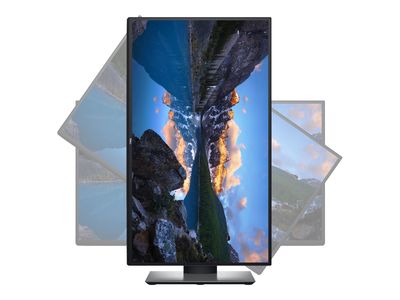 Dell LED-Display UltraSharp U2520D - 63.44 cm (25") - 2560 x 1440 QHD_2