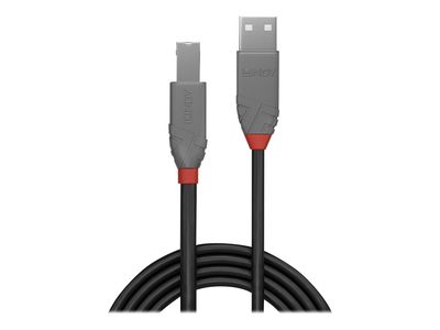 Cable Lindy USB 2.0 to USB-B 3m Black_3