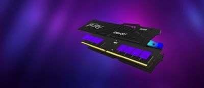 Kingston RAM FURY Beast RGB - 16 GB - DDR5 5600 DIMM CL36_12