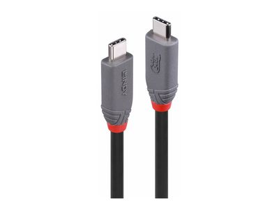 Cable Lindy USB 4-C 2m Anthra Line_3