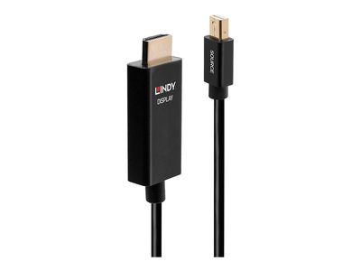 Cable Lindy Mini DP an HDMI Adap  mit HDR 0,5m_thumb