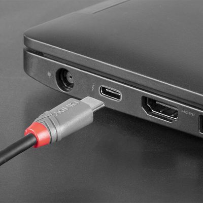 Lindy USB-Kabel Anthra Line - USB-C / Micro-USB Typ B - 2 m_5