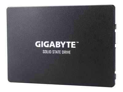 Gigabyte SSD GP-GSTFS31256GTND - 256 GB - 2.5" - SATA 6Gb/s_1
