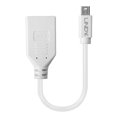 Lindy 41021 DisplayPort-Kabel 0,15 m Mini DisplayPort Weiß_2