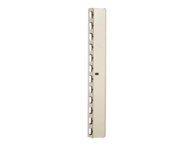 DIGITUS Professional Line DN-19 ORG-42U - rack cable management panel - 42U_thumb