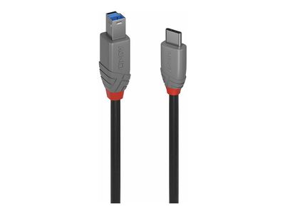 Lindy Anthra Line - USB-C cable - 24 pin USB-C to USB Type B - 3 m_2