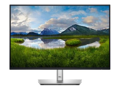 Dell P2425E - LED-Monitor - 61 cm (24")_thumb