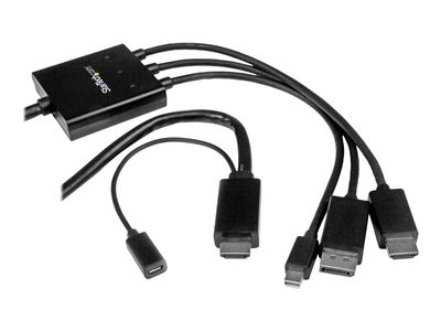 StarTech.com 2m 6 ft HDMI, DisplayPort or Mini DisplayPort to HDMI Converter Cable - HDMI, DP or Mini DP to HDMI Adapter Cable (DPMDPHD2HD) - video adapter - DisplayPort / HDMI - 2 m_2