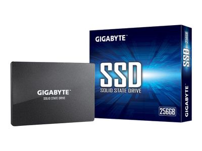 Gigabyte SSD GP-GSTFS31256GTND - 256 GB - 2.5" - SATA 6Gb/s_3