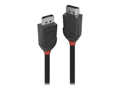 Lindy Black Line - DisplayPort-Kabel - DisplayPort zu DisplayPort - 2 m_1
