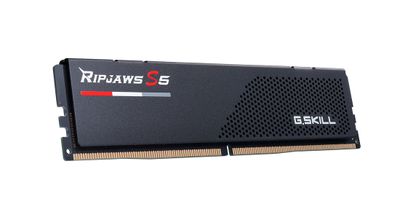 G.Skill RAM Ripjaws S5 - Low Profile - 32 GB (2 x 16 GB Kit) - DDR5 6000 DIMM CL40_2