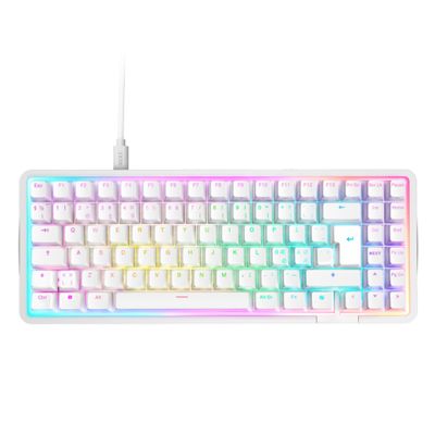 NZXT Function Elite - Tastatur TKL - QWERTZ - Deutsch - Mattes Weiß Eingabegerät_thumb