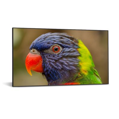 DynaScan LED-Display DS752LR4 - 190.5 cm (75") - 3840 x 2160 4K UHD_thumb