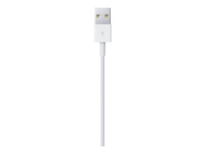 Apple Lightning-Kabel - Lightning/USB - 2 m_4