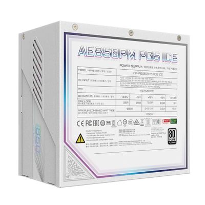 GIGABYTE AORUS ELITE P850W ICE Power Supply_3