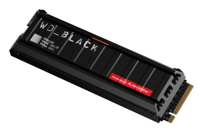 Western Digital Black WD_BLACK™ SN8100 NVMe™ SSD POWERED BY SANDISK 4 TB, [With Heatsink]_4