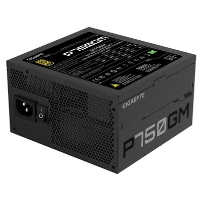 GIGABYTE P750GM Netzteil 750 W 20+4 pin ATX ATX Schwarz_4