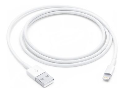 Apple Lightning cable - Lightning / USB - 1 m_4
