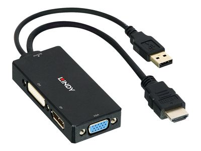 Adap Lindy HDMI to DP_3