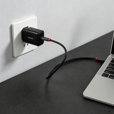 Lindy 73448 Ladegerät für Mobilgeräte Universal Schwarz AC Schnellladung Drinnen_5