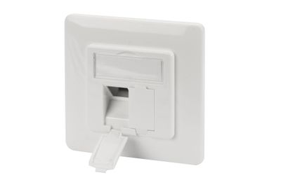 DIGITUS Leerdose mit Frontplatte für 2x Keystone Module DN-93831_2