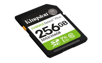 Kingston Flash-Card Canvas Select Plus - SDXC UHS-I - 256 GB_2